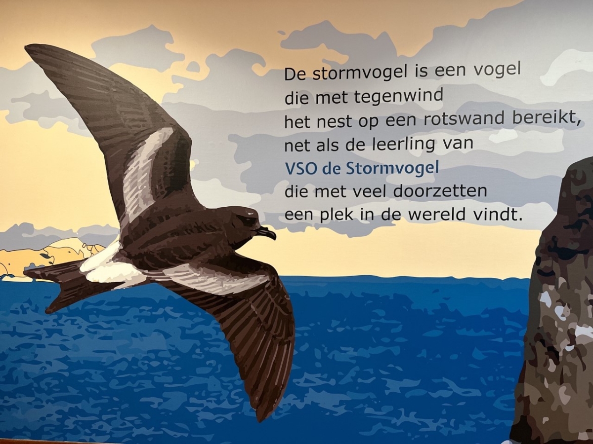VSO Stormvogel - onderwijsaanbod